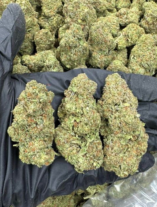 Shipped Flower - GMO (Greenhouse)