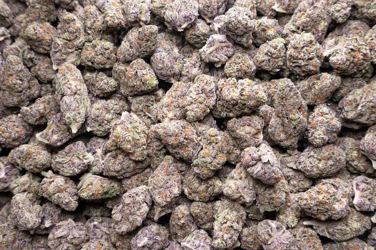 B2B THCaFlower - Purple Punch