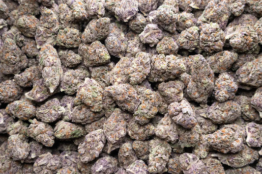 B2B THCaFlower - Purple Punch