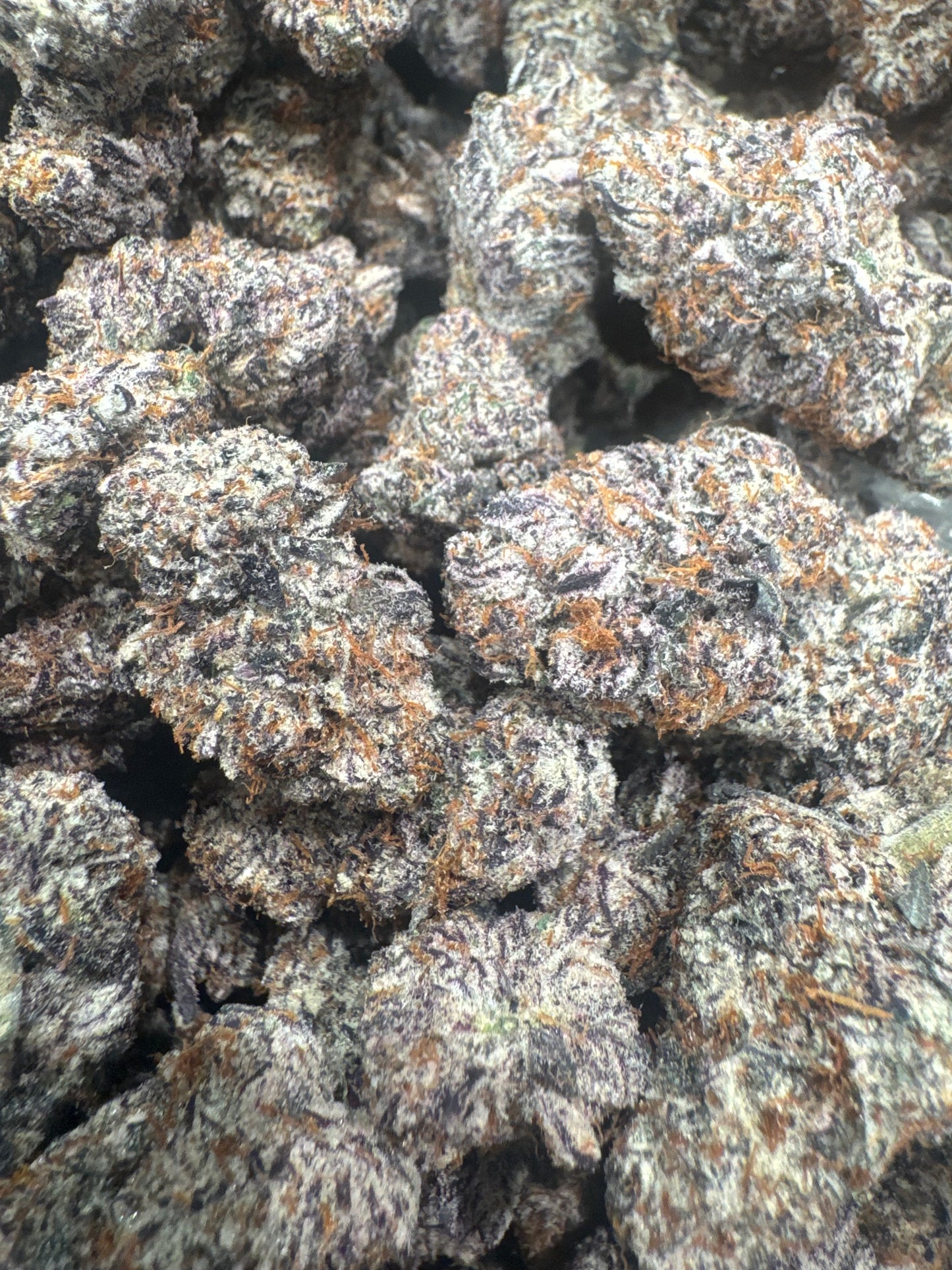 Shipped Flower - LPC (Indoor)