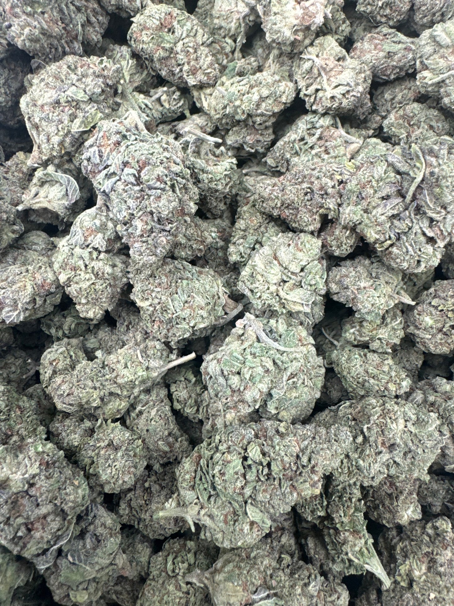 Shipped Flower - Lemon Haze (Green House)