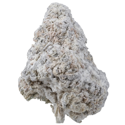 Snowballs THCa Coated Flower