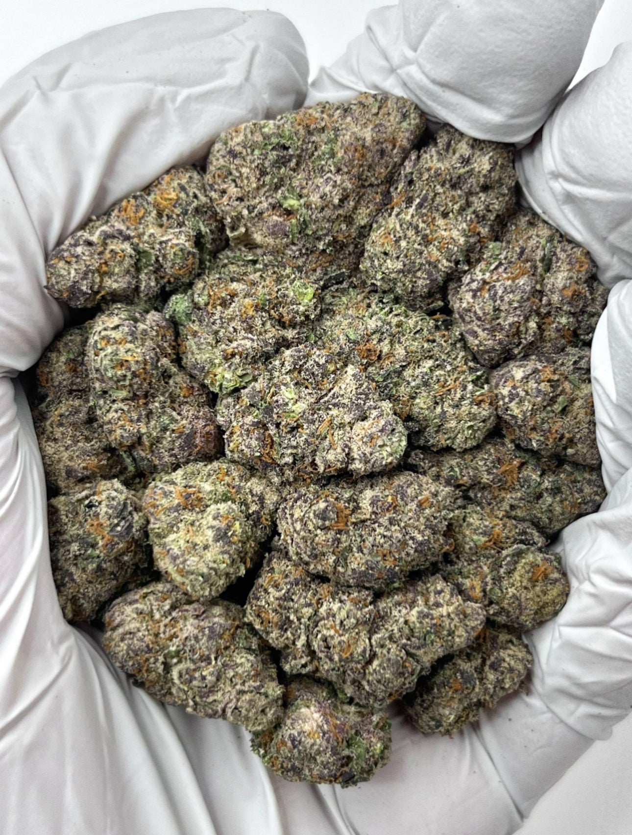 Black Cherry Gelato THCa Flower