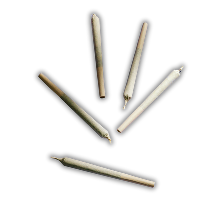 1g Indoor THCa Pre Roll (NEW)